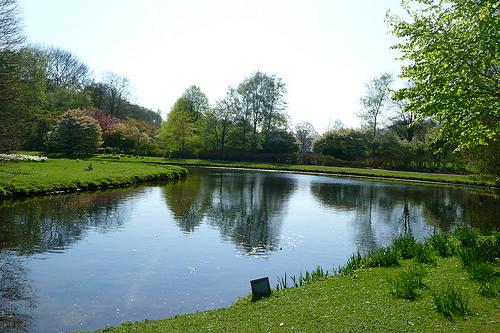 Quelques jours à La Haye P1080318