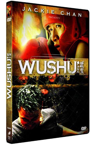 Wushu  : la Kung Fu Academy selon Jackie Chan