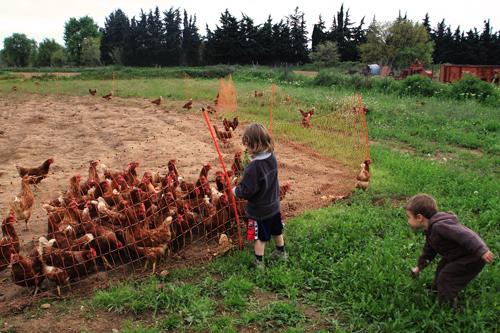 bruitcampagne Le bruit de la nature …