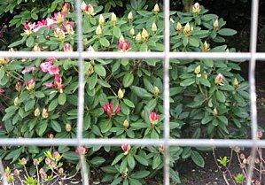 Humeur... mauvaise humeur: la semaine s'annonce difficile! Humeur... mauvaise humeur: la semaine s'annonce difficile!