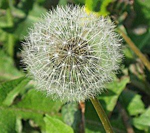 Humeur... mauvaise humeur: la semaine s'annonce difficile! Humeur... mauvaise humeur: la semaine s'annonce difficile!