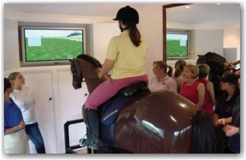 horse-simulator_2 horse-simulator_2