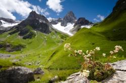 Davantage de moyens pour les réserves naturelles françaises paysage alpin