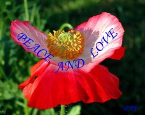 Brochettes et poivrons farcis +..balade.... Brochettes et poivrons farcis +..balade....