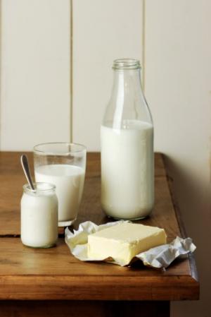 Du fromage au lait maternel servi lors d'une exposition Produits laitiers (image d'illustration)