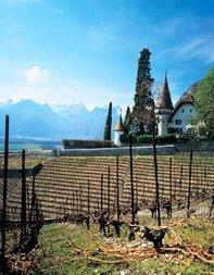 Château Maison Blanche Château Maison Blanche