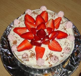 Mon fraisier étapes par étapes Mon fraisier étapes par étapes