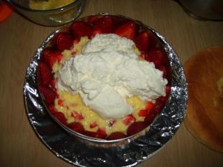 Mon fraisier étapes par étapes Mon fraisier étapes par étapes