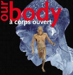 Our Body - Exposition Madeleine