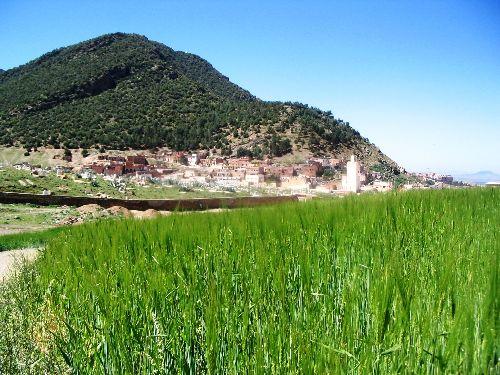 Tajine aux carottes et fèves mcherlin Azrou en avril