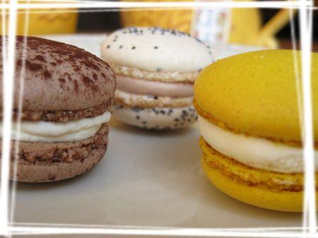 Bientôt de retour... IMG_0169_2