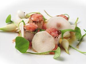Off 4 - Omnivore : Mads Reflund IMG_1682_1