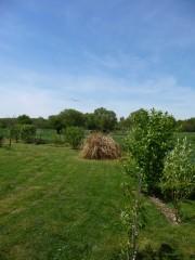 Devinette plutôt bête P1050994.JPG