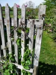 Devinette plutôt bête P1050996.JPG