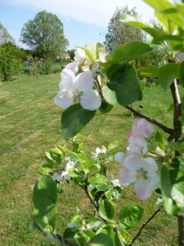 Devinette plutôt bête P1050991.JPG