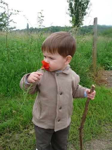 Tadam-Tadam : The winner is ... didi.jpg