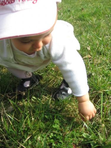 Tadam-Tadam : The winner is ... IMG_1138.JPG