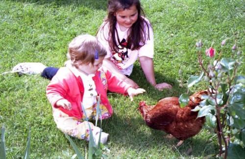 Tadam-Tadam : The winner is ... Anne et PiouPiou.jpg