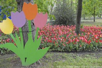 20 ans pour la Fête des Tulipes de Saint-Denis