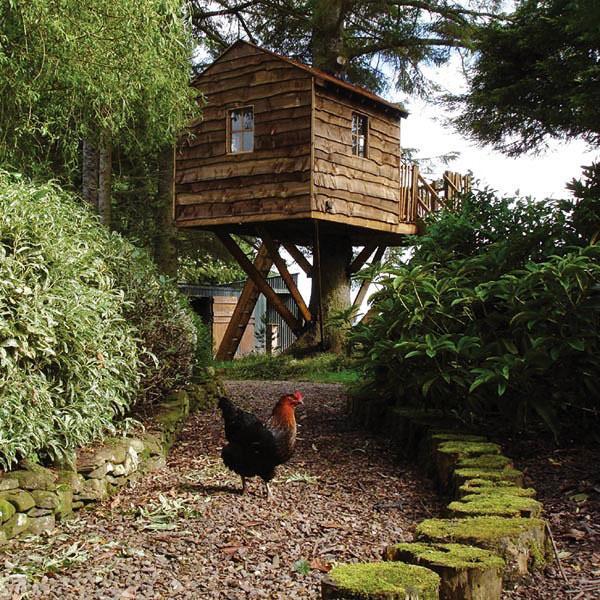 Maisons dans les arbres