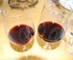 Un repas dégustation Exceptionnel ! Pichon_Baron_98_Mouton_98