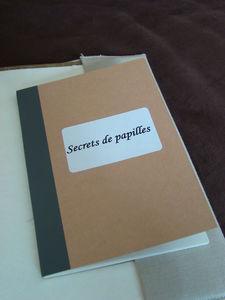 Je ne vous ai jamais montré... DSC08747