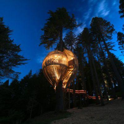 Yellow Tree House © Pacific Environments