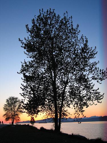 Le week-end commence IMG_8711