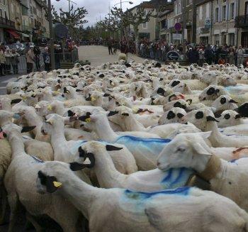 1er mai, jour du muguet et des manifs sur Soliblog - Photo DDM 1er mai, jour du muguet et des manifs sur Soliblog - Photo DDM.