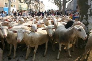 1er mai, jour du muguet et des manifs sur Soliblog 1er mai, jour du muguet et des manifs sur Soliblog