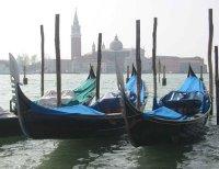 Venise: de l'électricité à partir d'algues