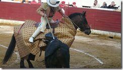 NOVILLADA D'AIRE SUR ADOUR 1ER MAI : MATTHIEU GUILLON P1030542