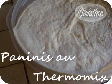 ~~  Paninis d'Avital au thermomix  ~~