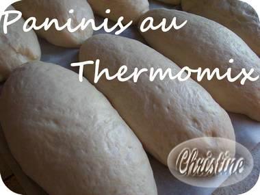 ~~  Paninis d'Avital au thermomix  ~~