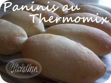 ~~  Paninis d'Avital au thermomix  ~~