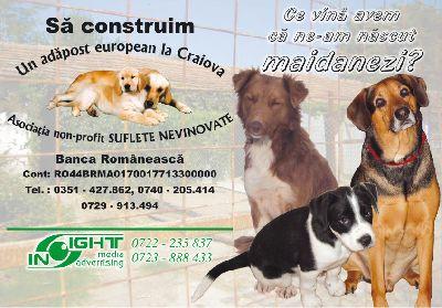 Important ,rendez vous nombreux !!!!! Important ,rendez vous nombreux !!!!!