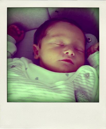 L'oiseau est dans son nid P1000310-pola.jpg