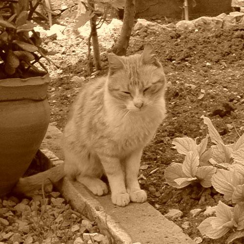 Tout va bien à la maison Tout va bien à la maison