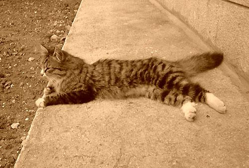 Tout va bien à la maison Tout va bien à la maison