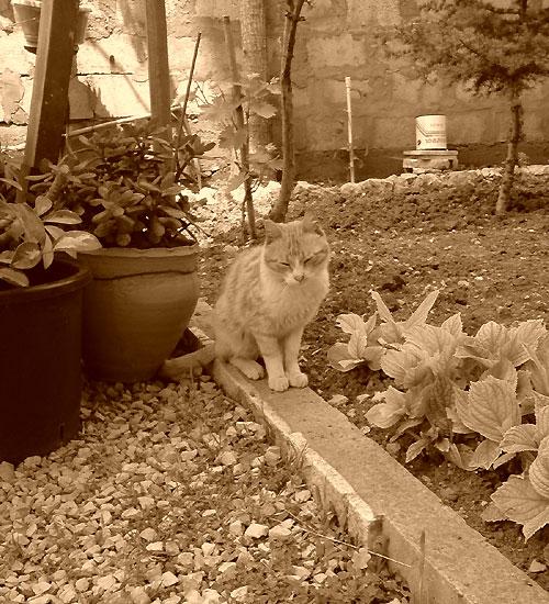 Tout va bien à la maison Tout va bien à la maison