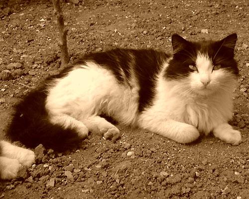 Tout va bien à la maison Tout va bien à la maison