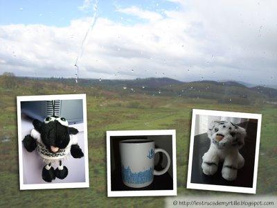 Happy Sunday Evening #30 Happy Sunday Evening #30