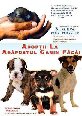 Semaine d'action de l'association Semaine d'action de l'association