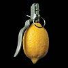 Citron génétiquement modifié ?