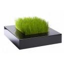 La boutique des tendances La boutique des tendances