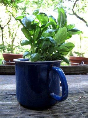 Türkenmarkt Türkenmarkt