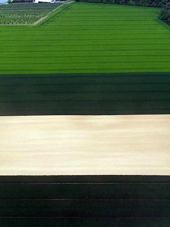 Enfin, du concret ! img_3231_dxo_raw-1280x768.1242289017.jpg