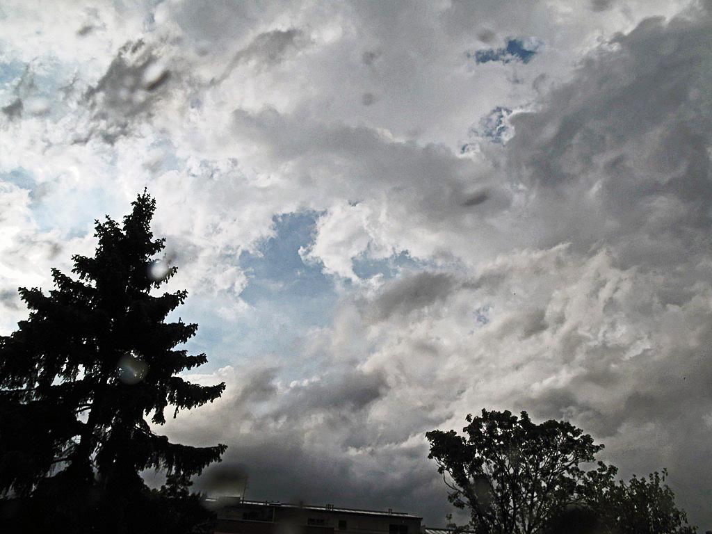 Enfin, du concret ! img_3350_dxo-1280x768.1242289213.jpg