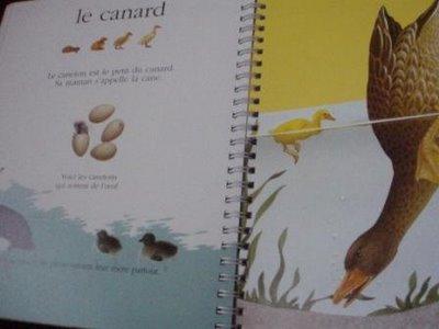 L'histoire réelle des animaux L'histoire réelle des animaux