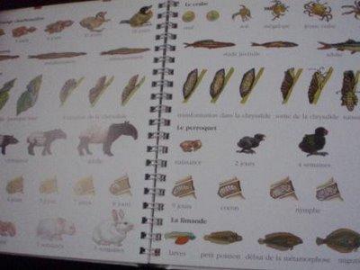 L'histoire réelle des animaux L'histoire réelle des animaux